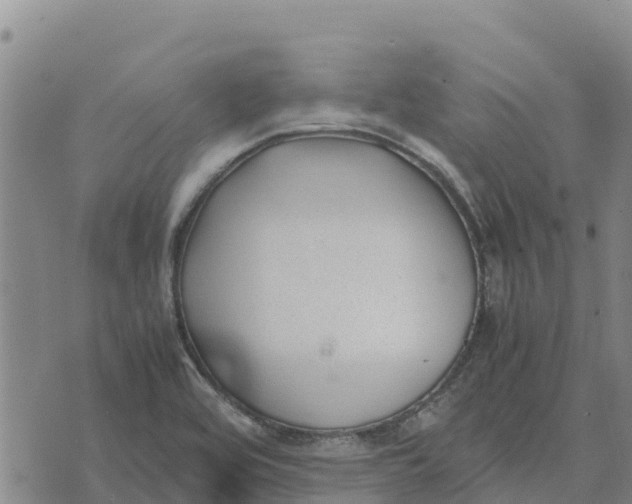 X0000072531464200608041545