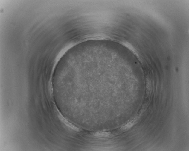 X0000072531466200608041545