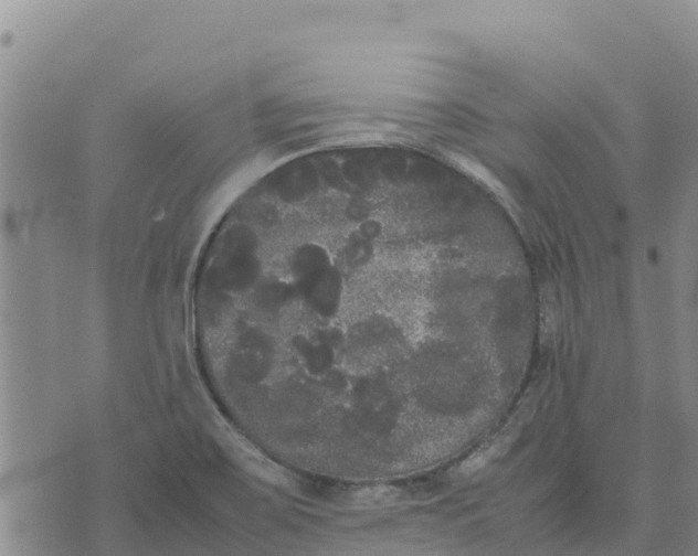 X0000072531467200608041545