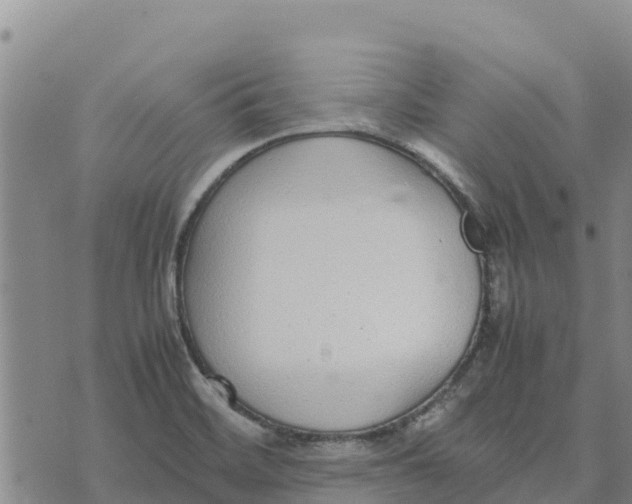 X0000072531468200608041545