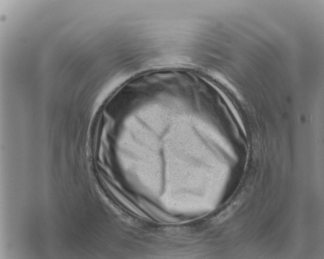 X0000072531469200608041545