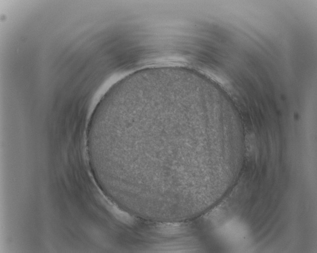 X0000072531470200608041545