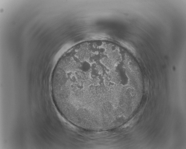 X0000072531471200608041545