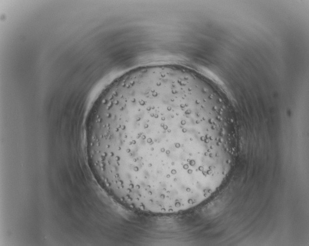 X0000072531472200608041545