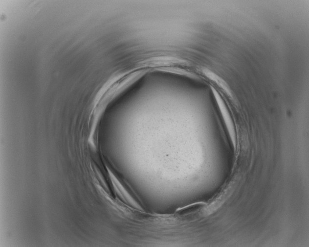 X0000072531473200608041545