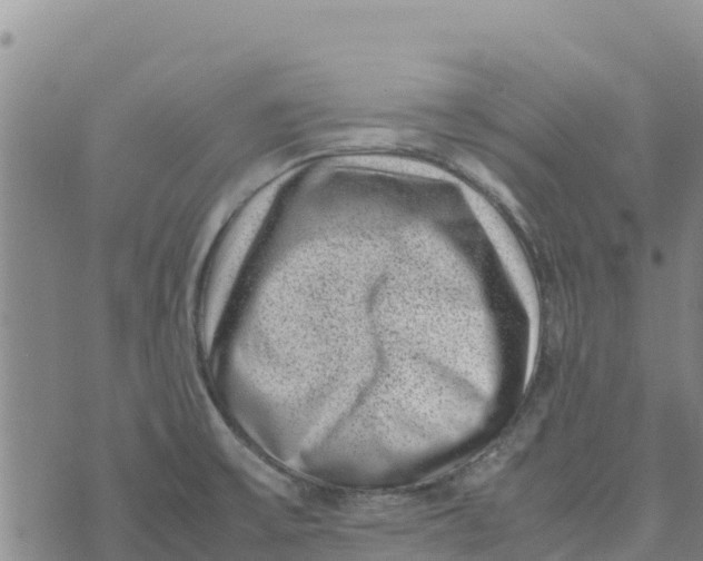 X0000072531475200608041545