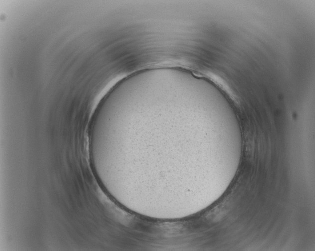 X0000072531476200608041545