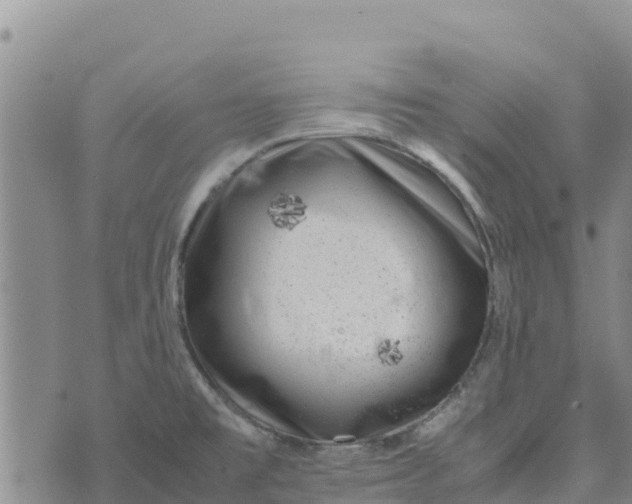 X0000072531477200608041545