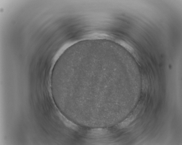 X0000072531478200608041545