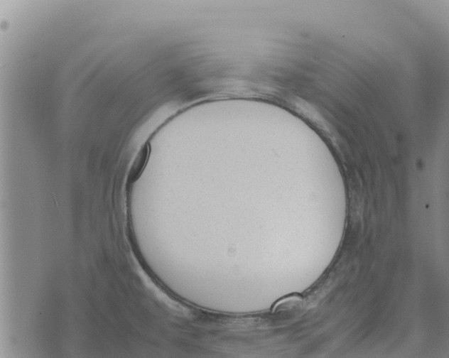 X0000072531479200608041545