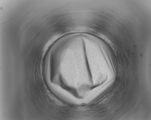 X0000072531480200608041545