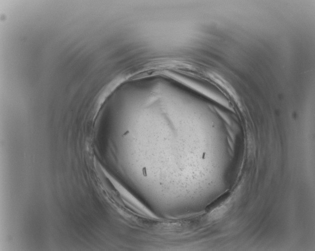 X0000072531481200608041545