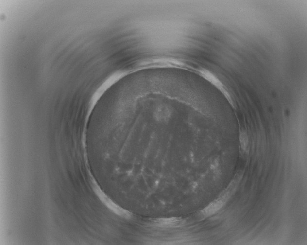 X0000072531482200608041545