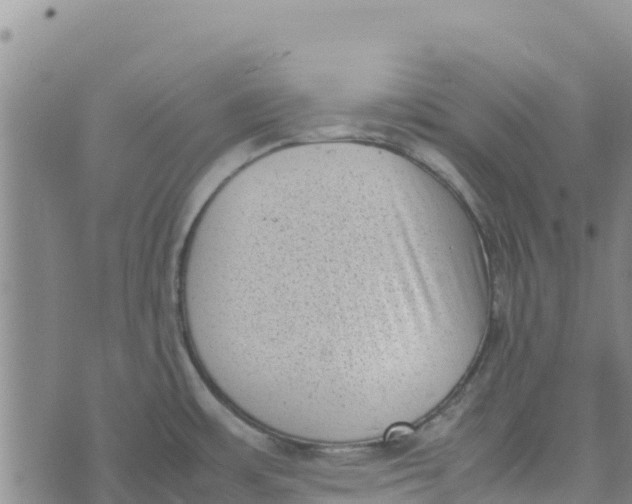 X0000072531483200608041544