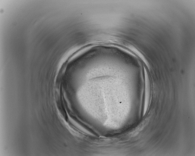 X0000072531485200608041544