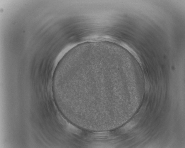 X0000072531486200608041544