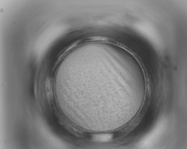 X0000072531487200608041544