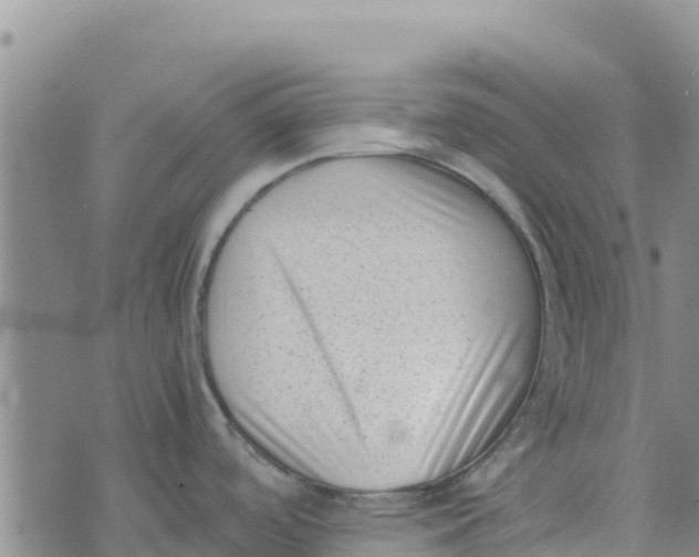 X0000072531488200608041544