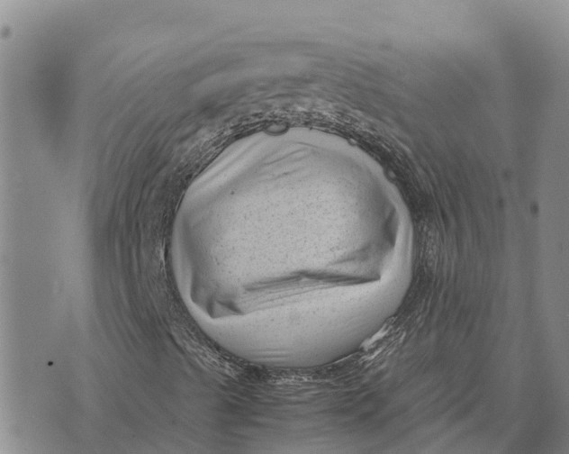 X0000072531489200608041544