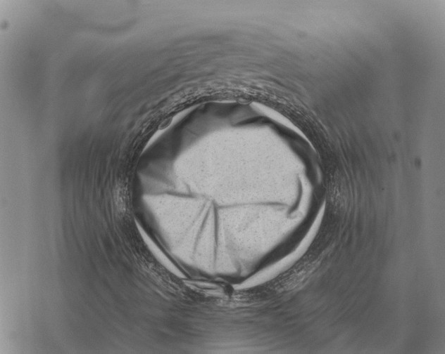 X0000072531490200608041544