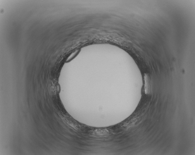 X0000072531491200608041544