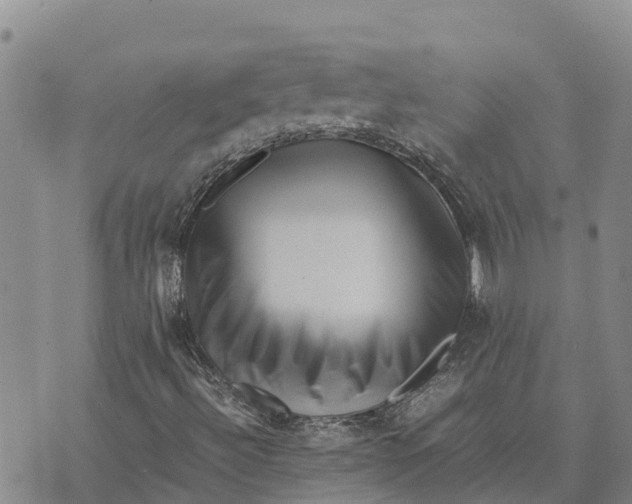 X0000072531492200608041544