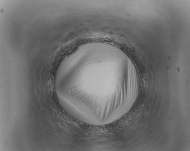 X0000072531493200608041544