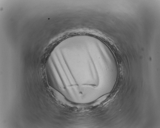 X0000072531494200608041544