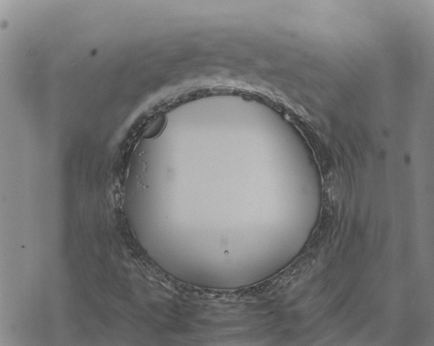 X0000072531495200608041544