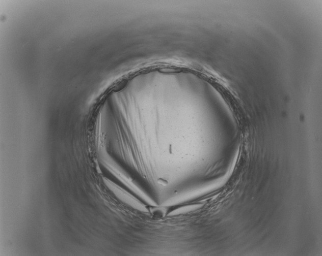 X0000072531496200608041544