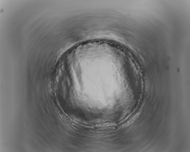 X0000072531497200608041544