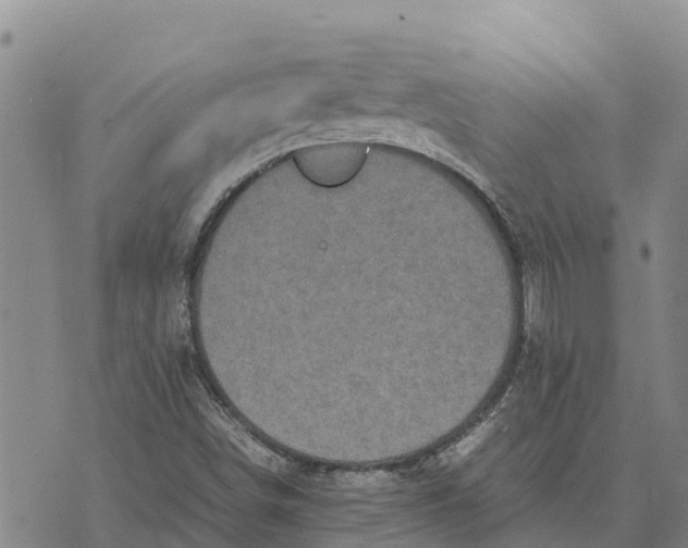 X0000072531498200608041544