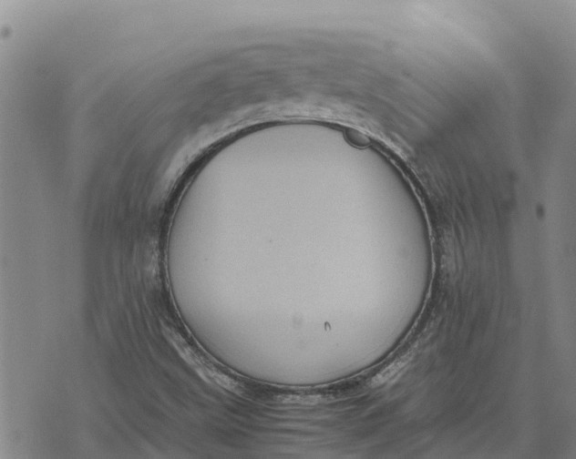 X0000072531499200608041544