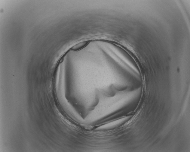 X0000072531500200608041544