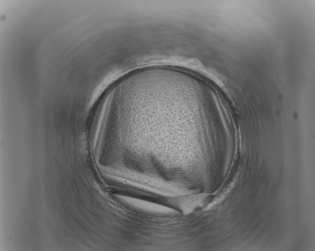 X0000072531501200608041544