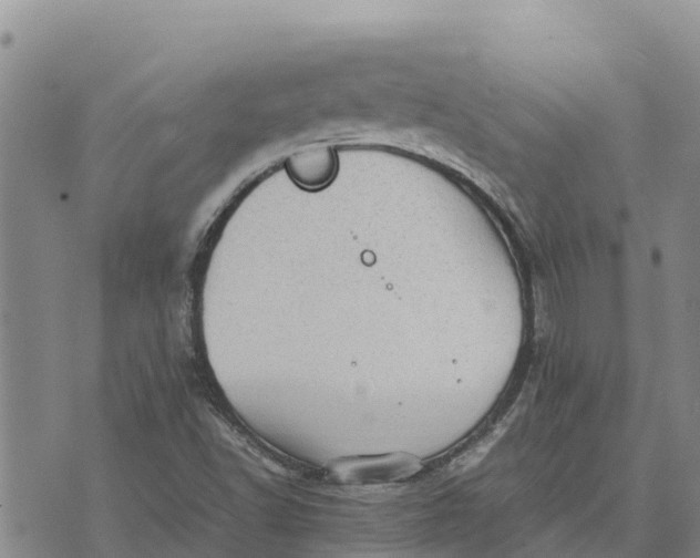 X0000072531502200608041544