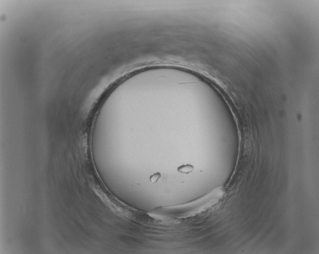 X0000072531503200608041544