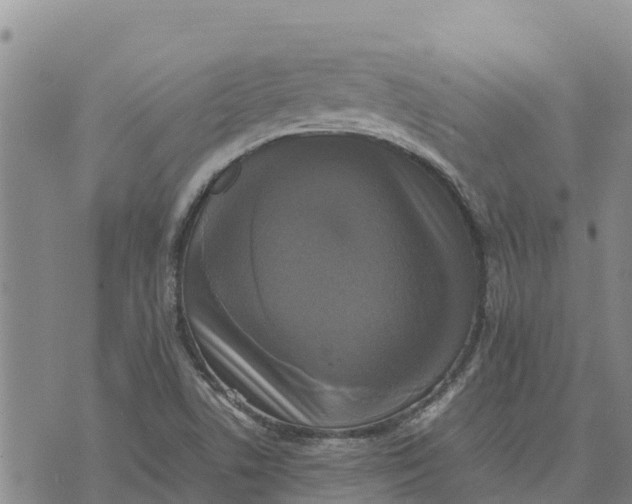 X0000072531506200608041544