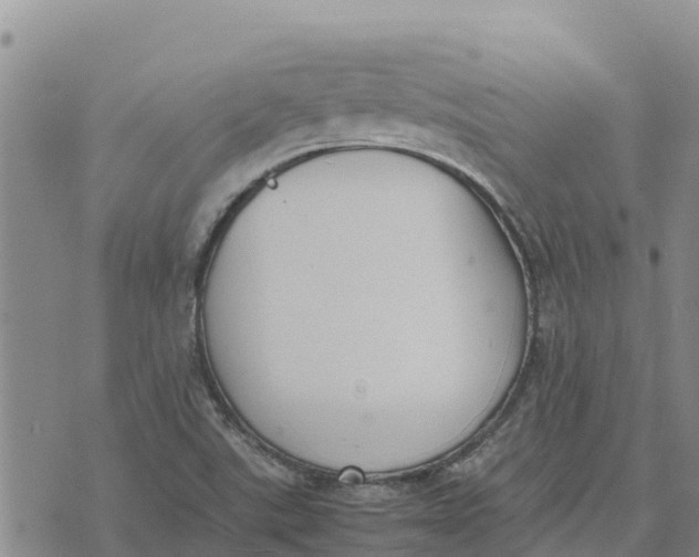 X0000072531507200608041544