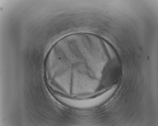 X0000072531508200608041544