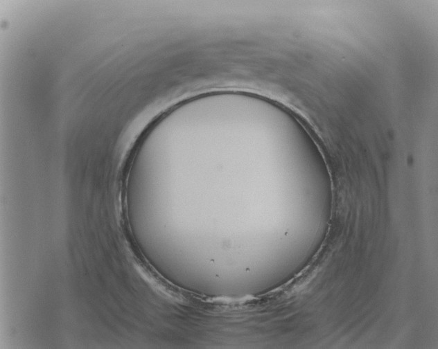 X0000072531511200608041544