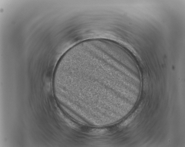 X0000072531513200608041544