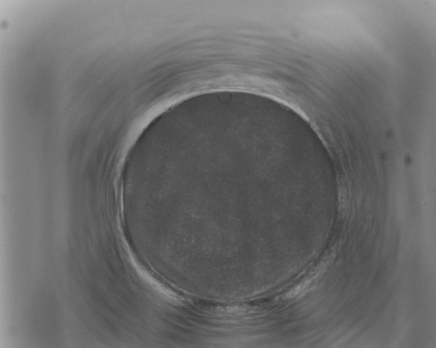 X0000072531515200608041544