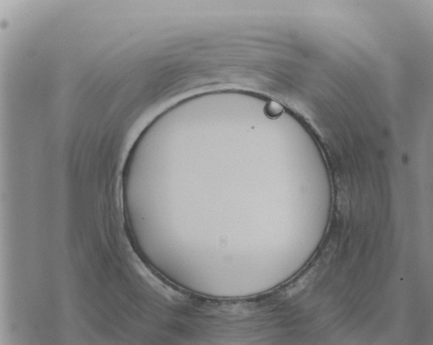 X0000072531516200608041544