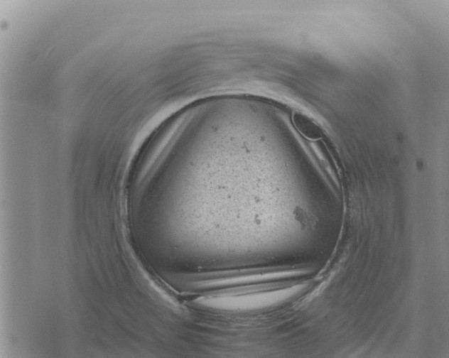 X0000072531517200608041544