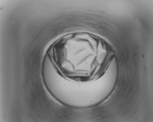 X0000072531518200608041544