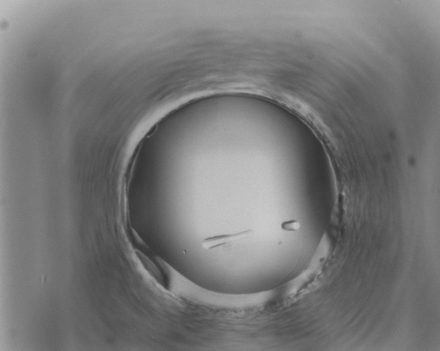 X0000072531520200608041544