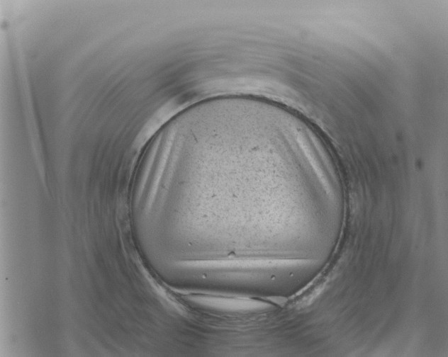 X0000072531521200608041544