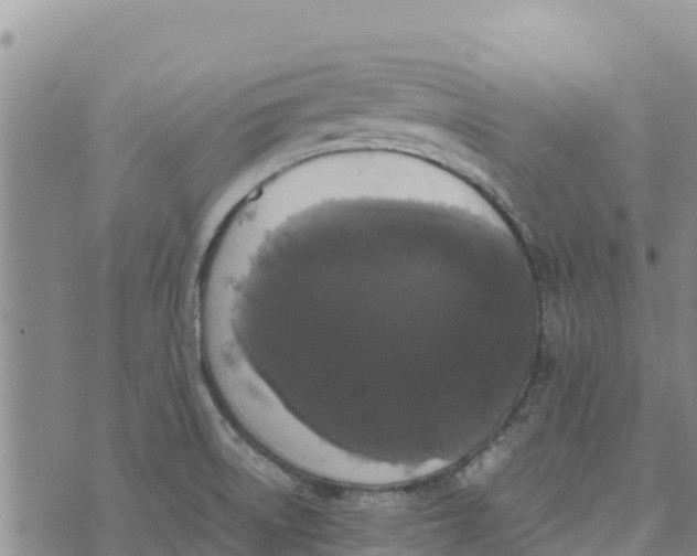 X0000072531522200608041544