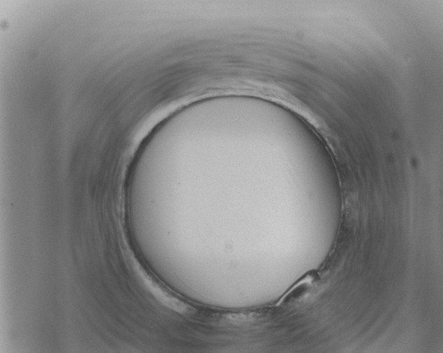 X0000072531523200608041544